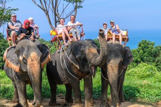 Kok Chang safari Elephant trekking