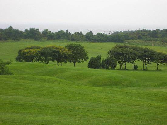 Jinshi Golf Course