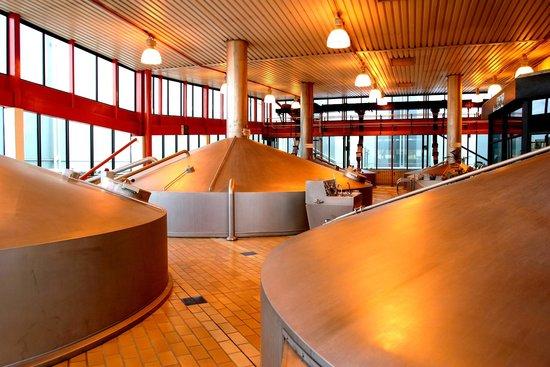 Newlands Brewery