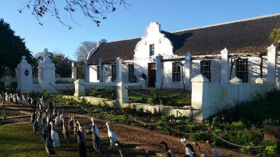 Vergenoegd Low Wine Estate