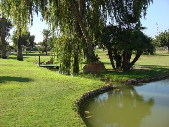 Club de golf de Torre Pacheco