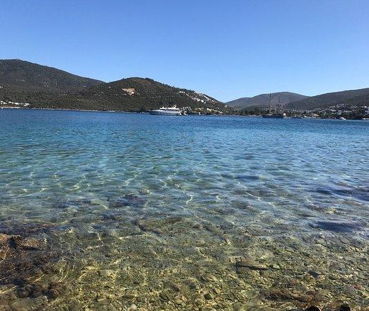 Torba Beach