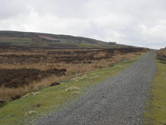 Waskerly Way Bike Path