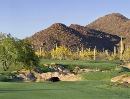 The Gallery Golf Club