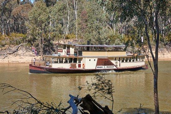 Murray River Paddlesteamers Echuca