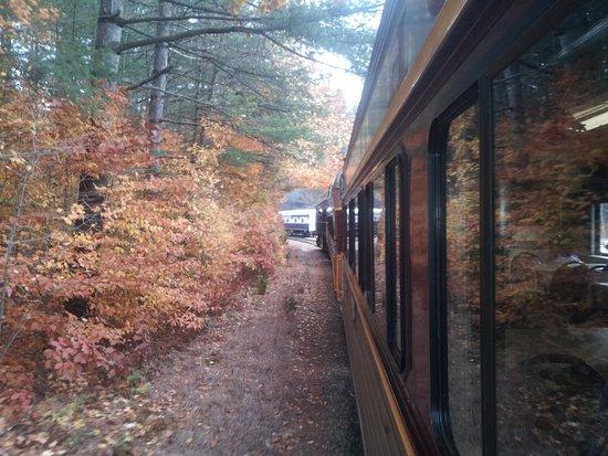 Hobo Railroad
