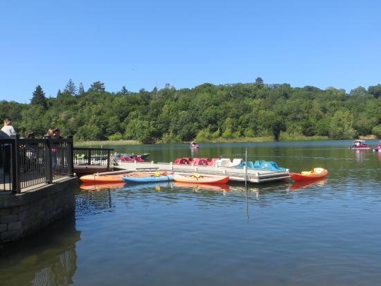 Howarth Park