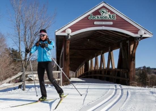 Jackson Ski Touring Foundation