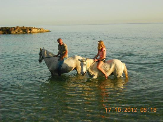 Hersonissos Horseriding