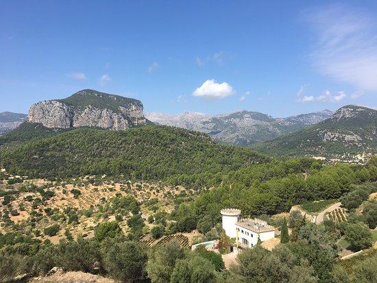 Bodegas Castell Miquel