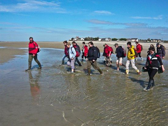 Promenade en Baie