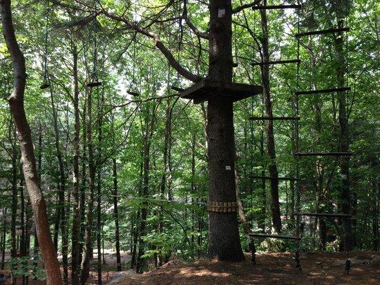 Parco Avventura Madonie