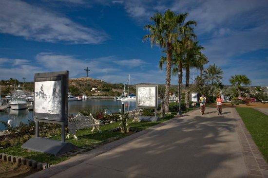 Puerto Los Cabos Marina