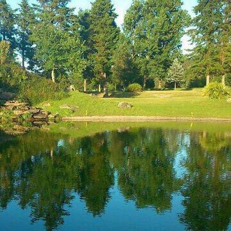 Golf Balneario de Mondariz