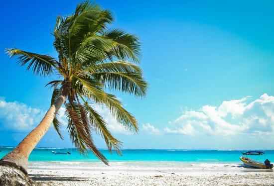 Club de Playa El Paraiso
