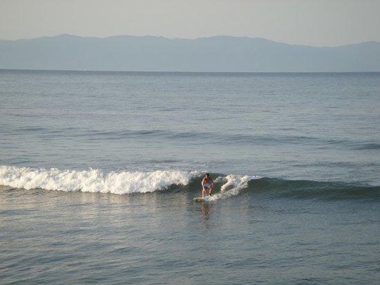 Accion Tropical