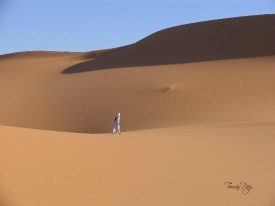 Caracolatours Morocco Travel&Tours-Day Tours