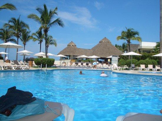 Puerto Vallarta Scuba