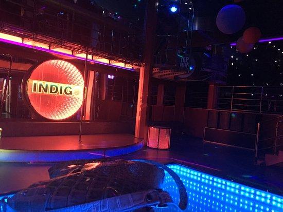 Indigo Night Club