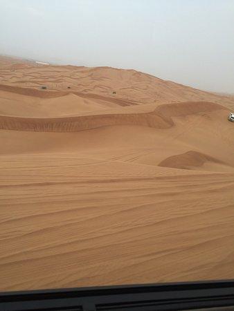 Desert Road Tours
