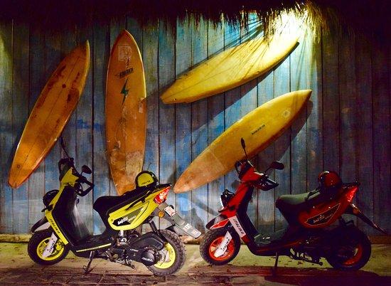 Punta Moto