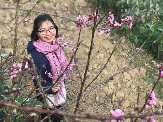 Phuong