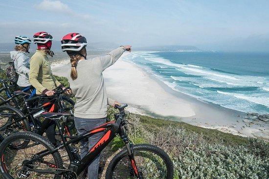 E Bike Tours Cape Town