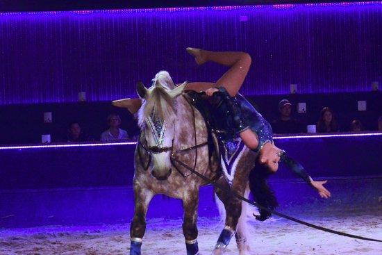 Dancing Horse Theatre