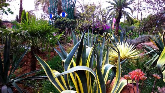 Giardino Anima
