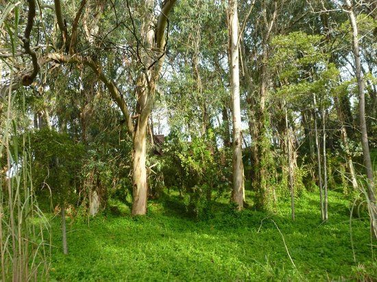 Reserva Natural