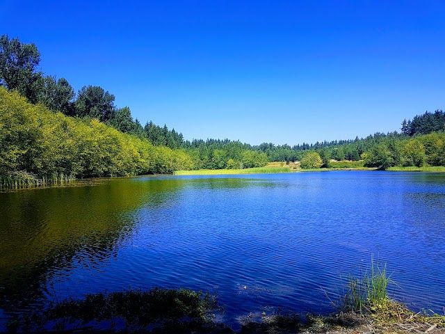 Green Timbers Park