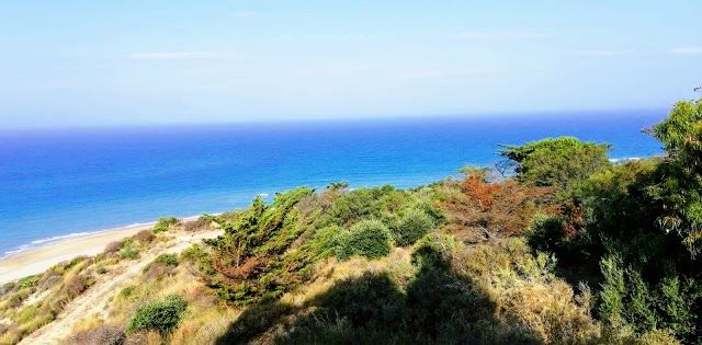 Torre Salsa