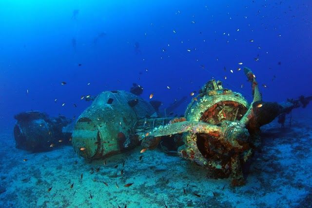 Bluefindivers Naxos Diving Center-Padi 5 Star Resort