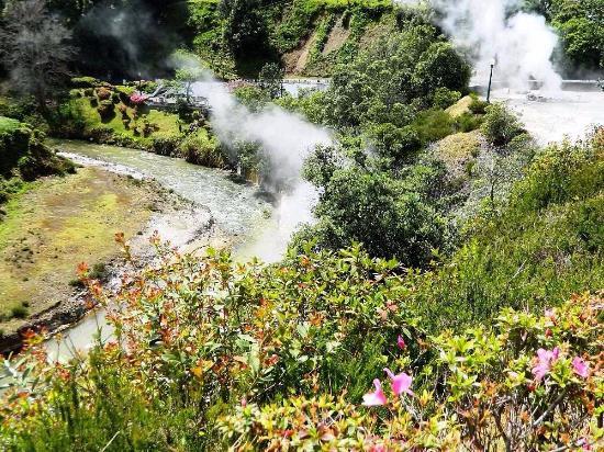 Furnas