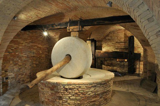 Museo dell'Olio di Cantinarte
