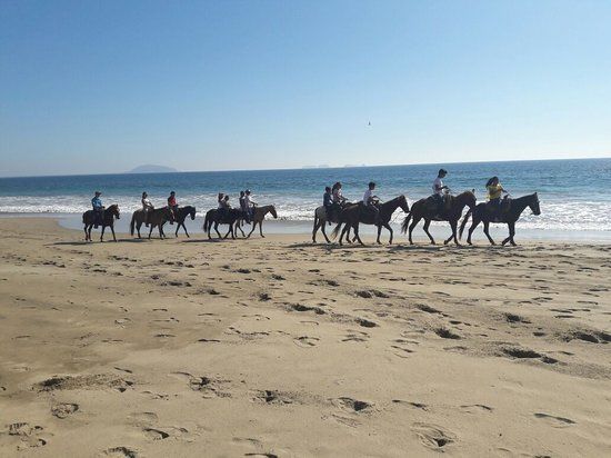 Ixtapa Day Trips