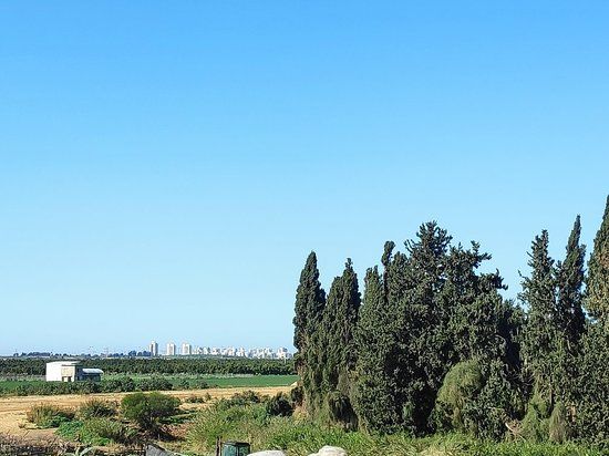 Farm on the Hill