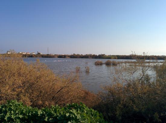 Oroklini Lake