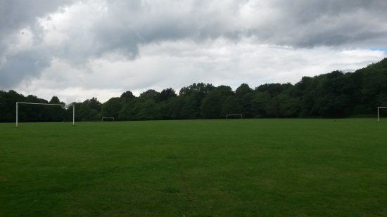 Lings Wood Nature Reserve