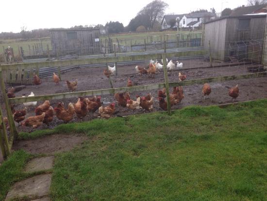 Smithy Farm