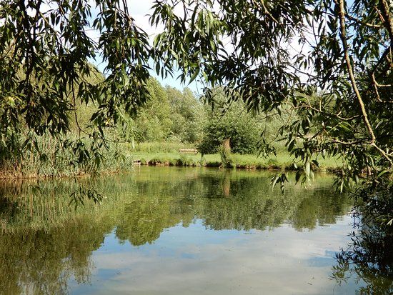 Caldy Nature Park