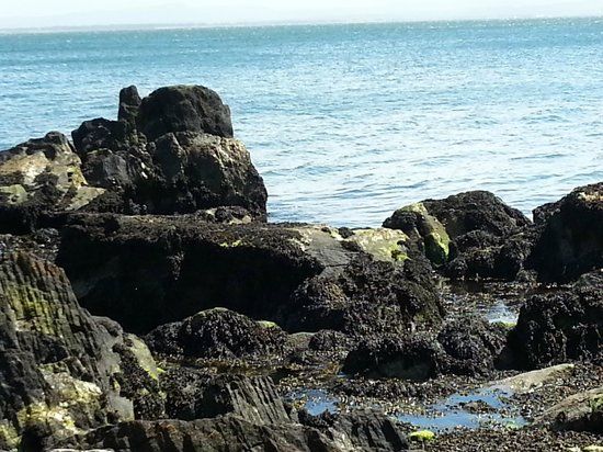 Moville Shore Path