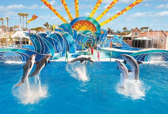 Parco Divertimenti SeaWorld di San Diego