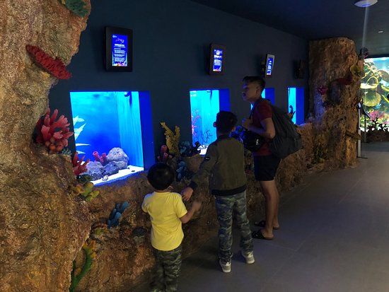 Cebu Ocean Park