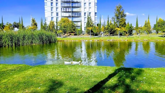 Jardin del Arte