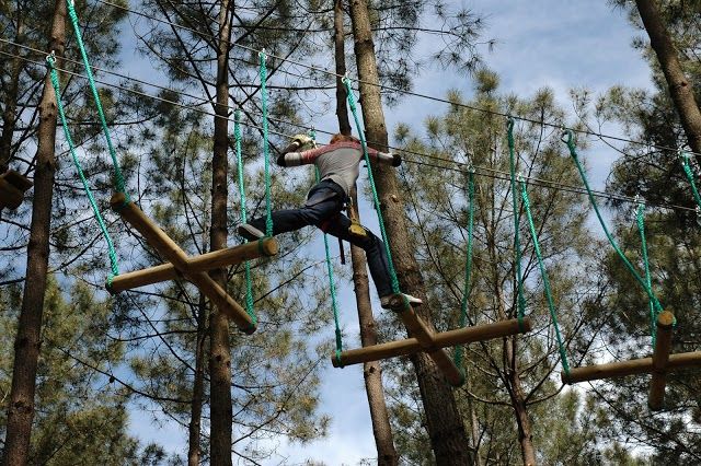 Bassin Aventures