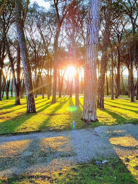 Parco delle Terme