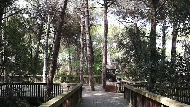 Parco Pineta