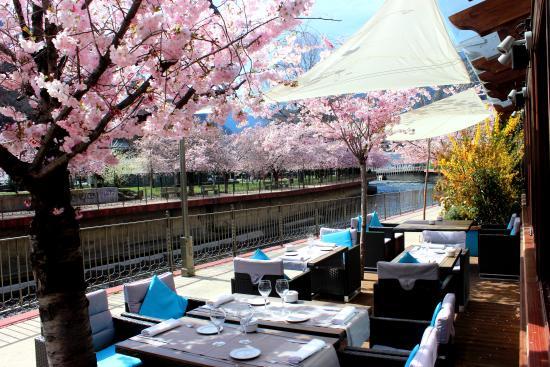 Plato Restaurant