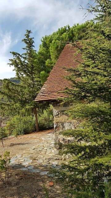 Troodos Mountains